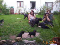 Bild 186